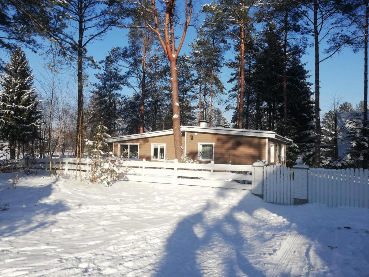 Sosnowy Azyl